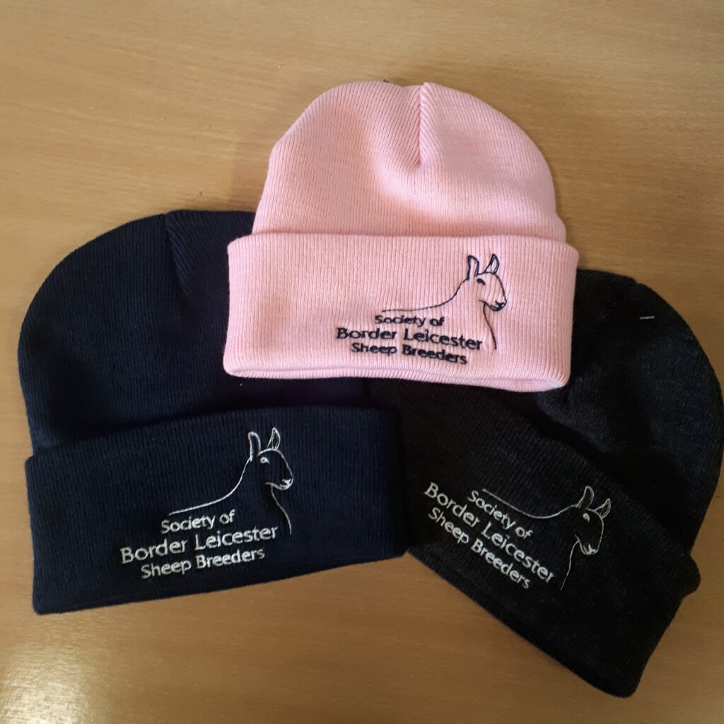 Society Beanie Hat