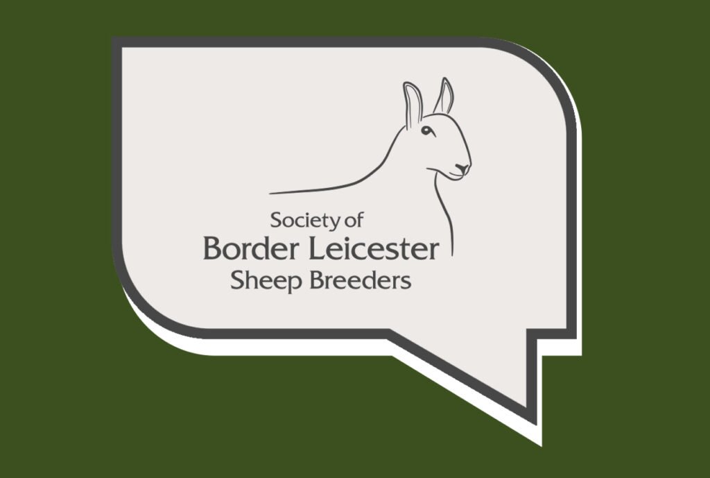 Keeping the Border Leicester Tradition Alive